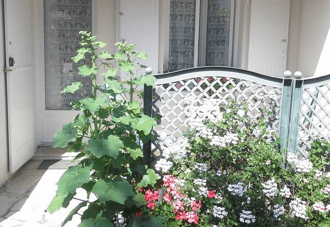 Terrasse privative fleurie aménagée devant chaque studio de la maison d'Hôtes Insulaire Oléron